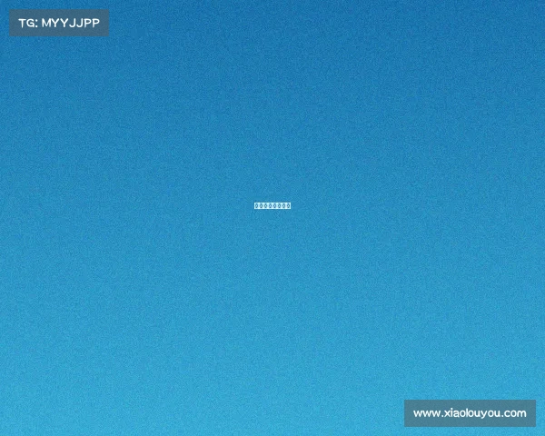 火箭比赛数据今日