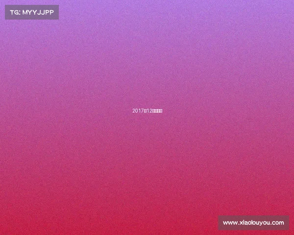 2017年12强赛战绩 2017年12强赛战绩