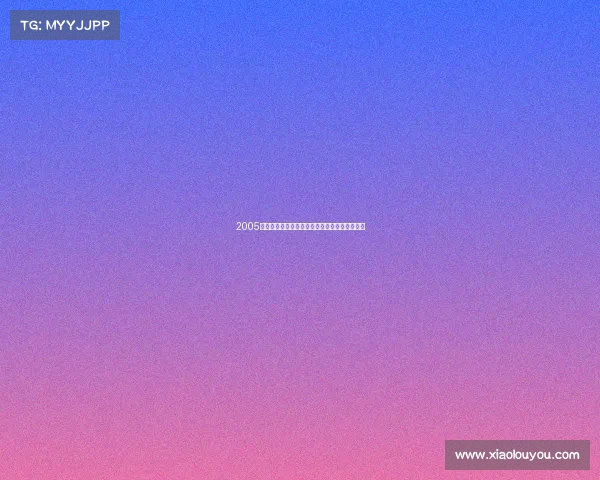 2005拳击赛事辉煌岁月回顾热血沸腾的经典对决时刻